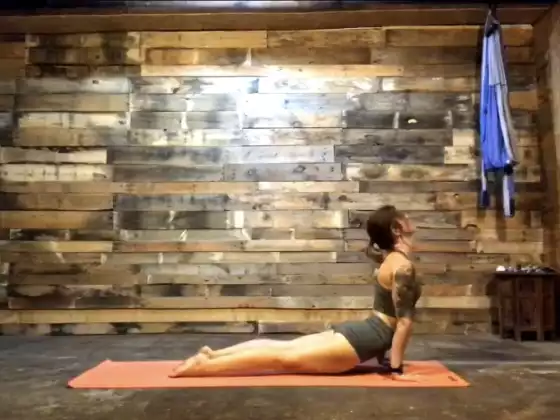 Vinyasa Flow