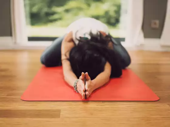 Hatha Yoga para principiantes